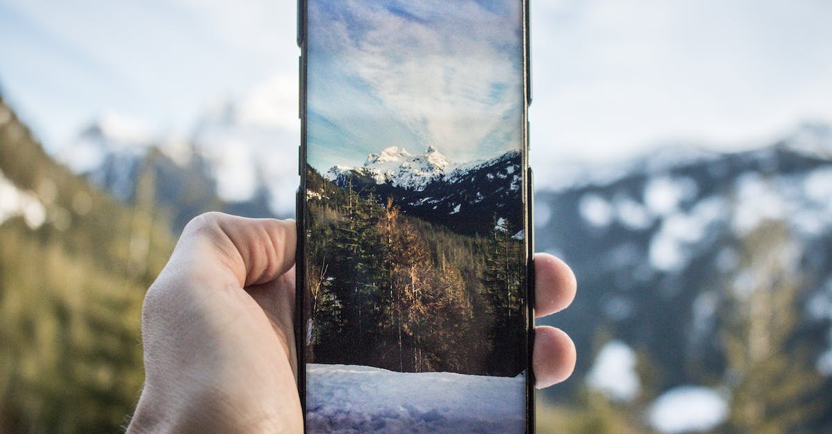 What bonus does the Frost Fang give, in Hand of Fate? - Person Holding Black Android Smartphone