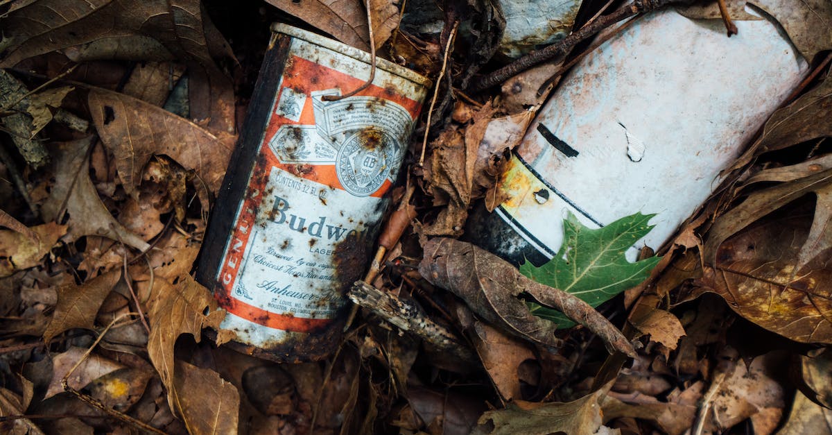 What can cause an abandon? - Close-Up Photo of Rusty Budweiser Can