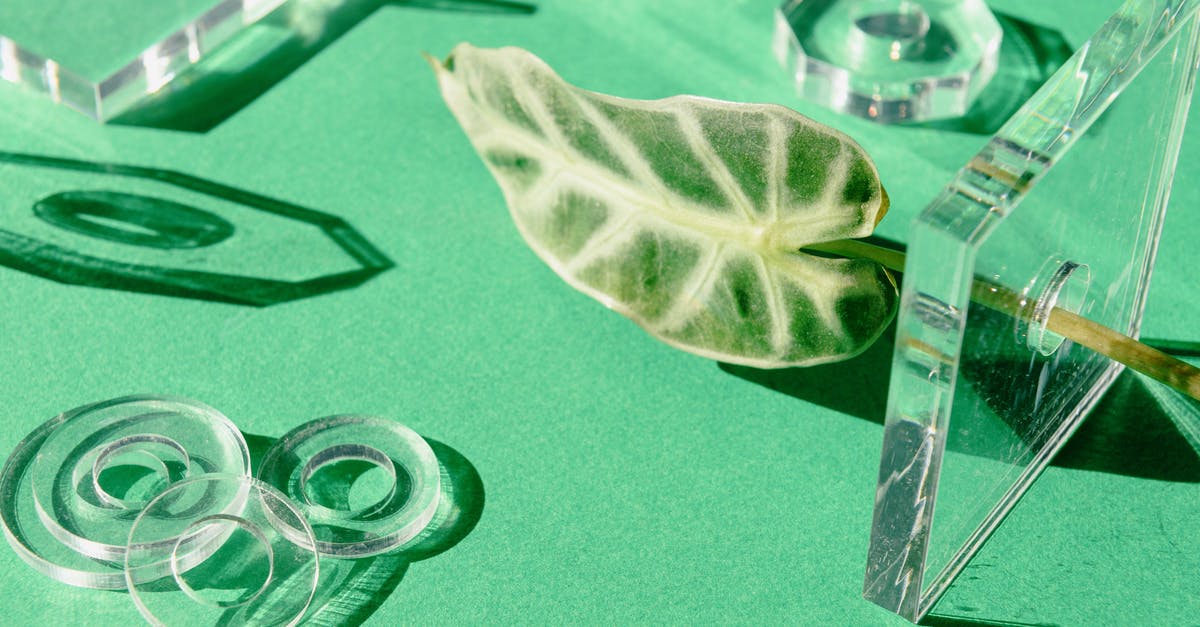 What can mobs see through but can't shoot arrows through? [duplicate] - Geometric Shapes on the Table