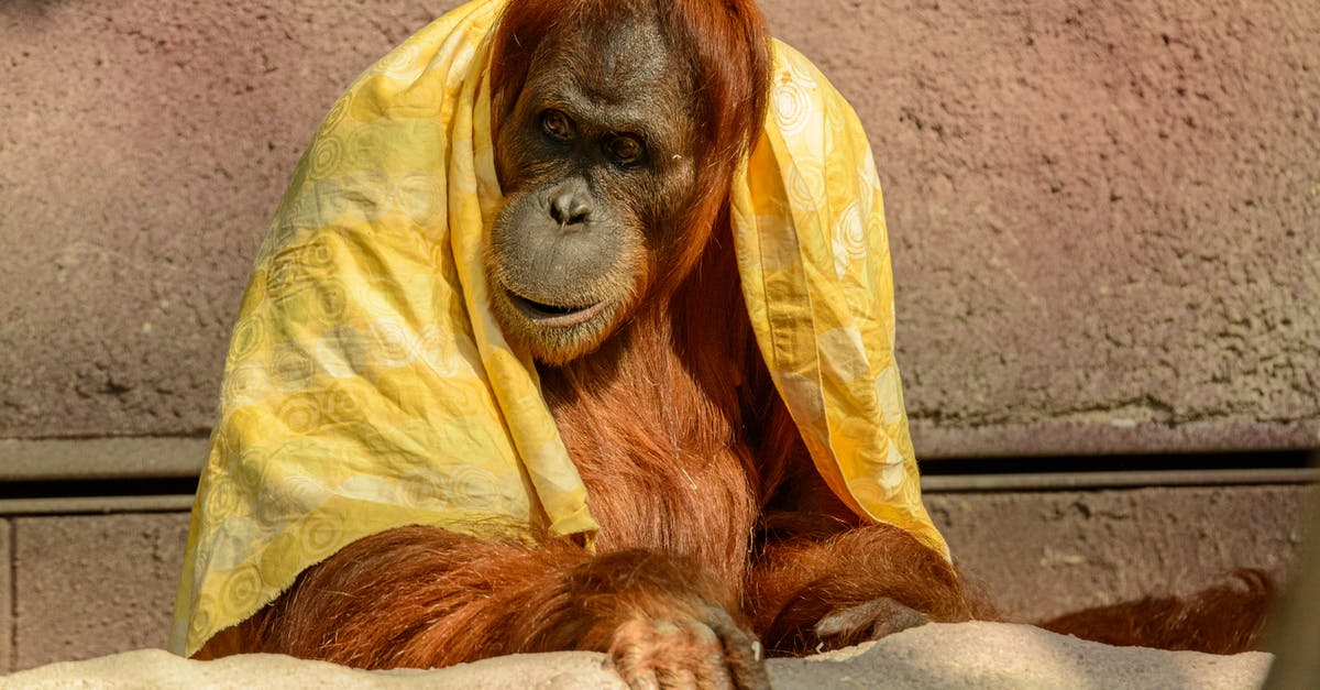 What changed in the evolution animation? - Brown Ape With Yellow Textile What changed in the evolution animation? - Brown Ape With Yellow Textile