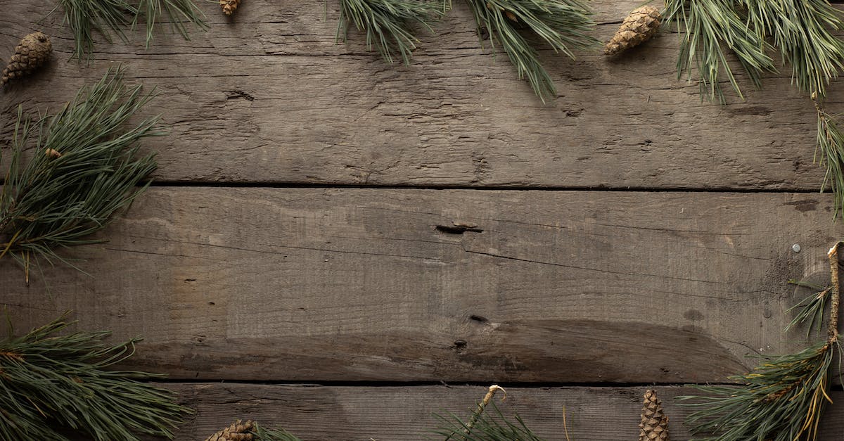 What cheat code do you use for spruce wood in Minecraft? - Spruce branches and cones on woody background