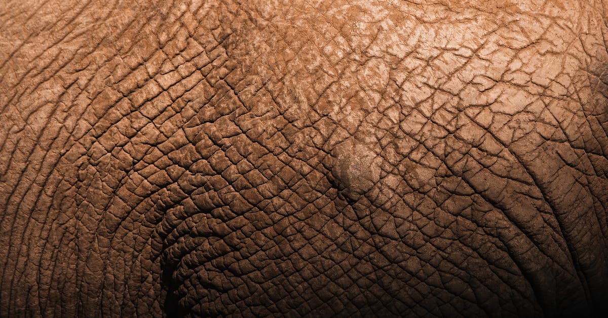 What combination of Steering Sensitivity and Non-linearity minimizes turning during straight-line 140 kph driving? - Closeup backdrop of tough brown elephant skin with decrepit texture and uneven surface in daylight