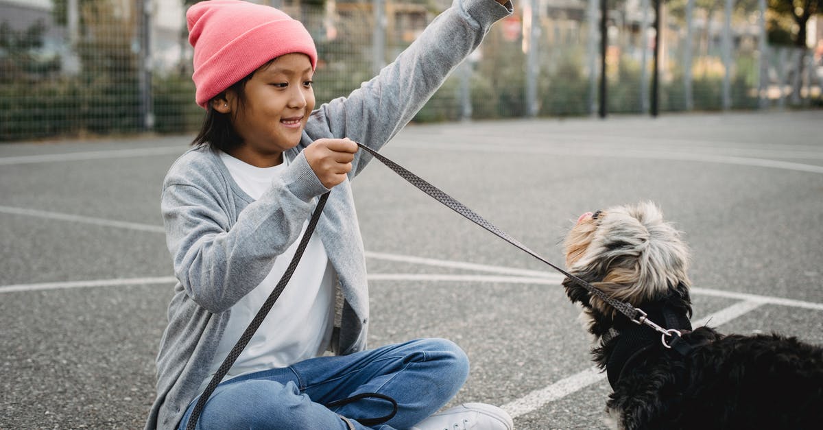 What command do I use to show the arms of an armor stand? - Smiling Asian boy training purebred dog on sports ground