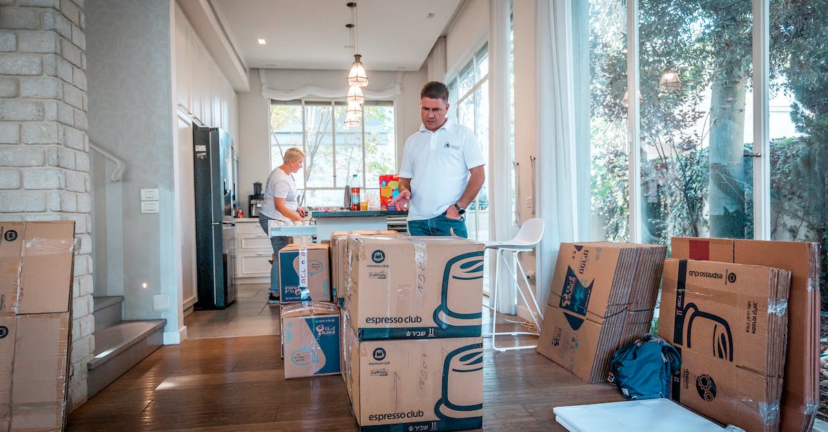 What commands are counted as 'cheats'? - Man in White Dress Shirt Standing Near Brown Cardboard Boxes What commands are counted as 'cheats'? - Man in White Dress Shirt Standing Near Brown Cardboard Boxes