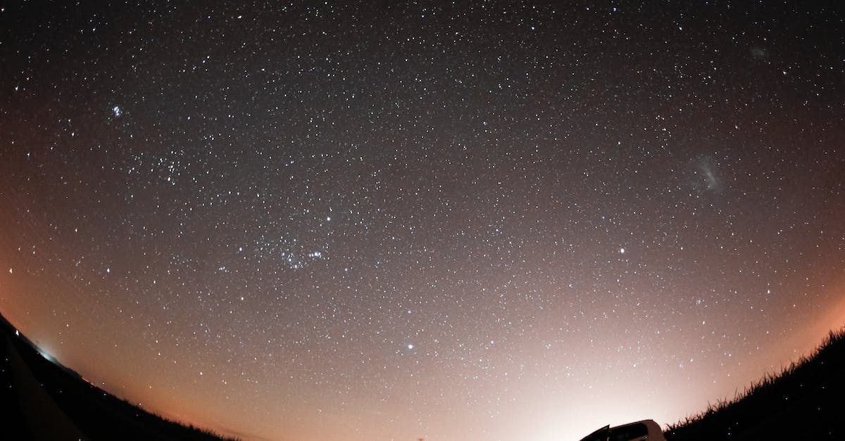 What counts as the Dawn of the Planet of the Apes? - Silhouette of Grass during Starry Night