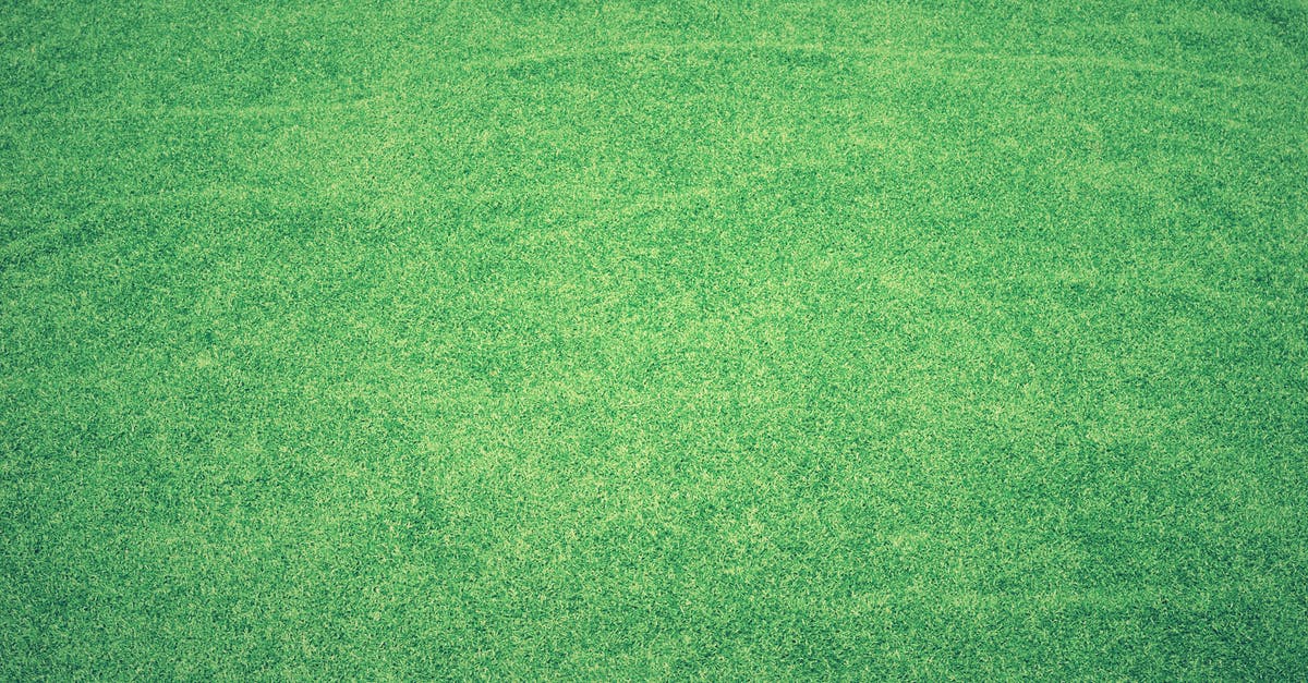 What counts as turf? - Green Grass Field