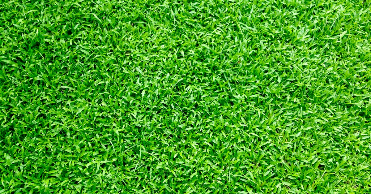 What counts as turf? - Green Grass