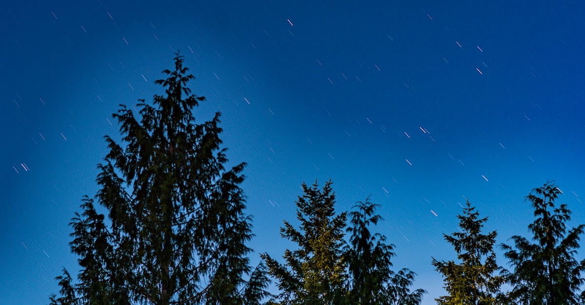 What criteria must be met to earn a 3 stars rank? - Green Trees Under Blue Sky during Night Time What criteria must be met to earn a 3 stars rank? - Green Trees Under Blue Sky during Night Time