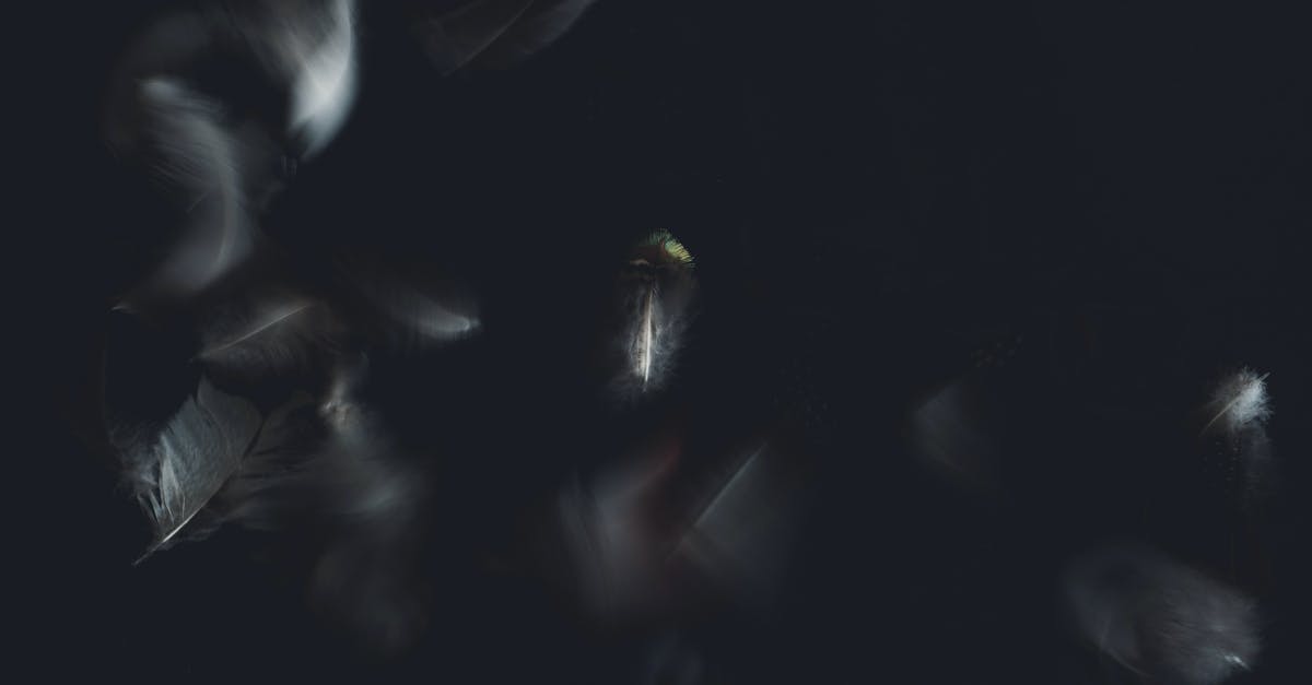 What determines how many merit points a lost satchel is worth? - From above of similar wavy feathers with delicate texture on pointed sticks and haze effect on black surface in twilight