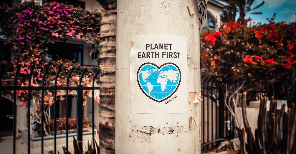 What determines if a "Street Pass" goes to your town? - Planet Earth First Poster On A Concrete Post