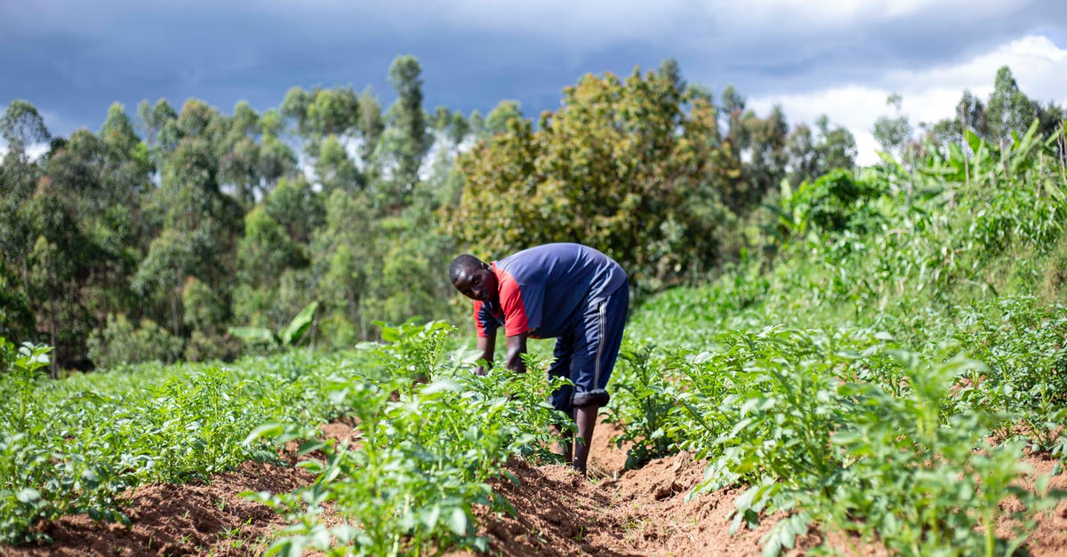 What do farming cycles control? - Man Harvesting Crops What do farming cycles control? - Man Harvesting Crops
