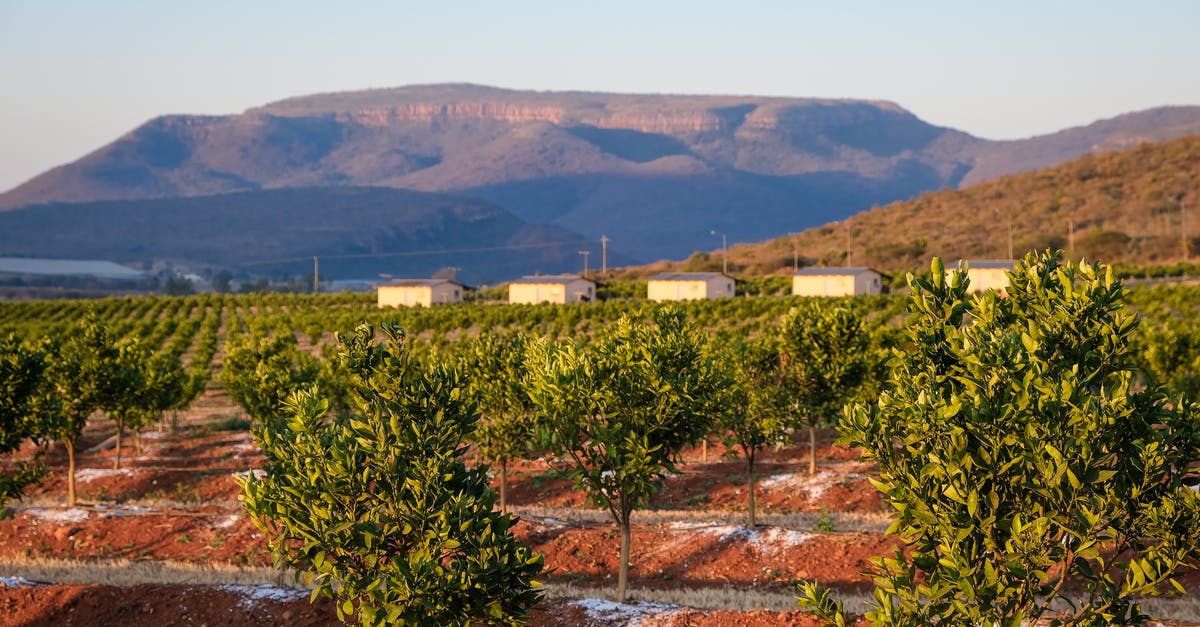 What do farming cycles control? - Green Trees on Brown Dirt Ground What do farming cycles control? - Green Trees on Brown Dirt Ground