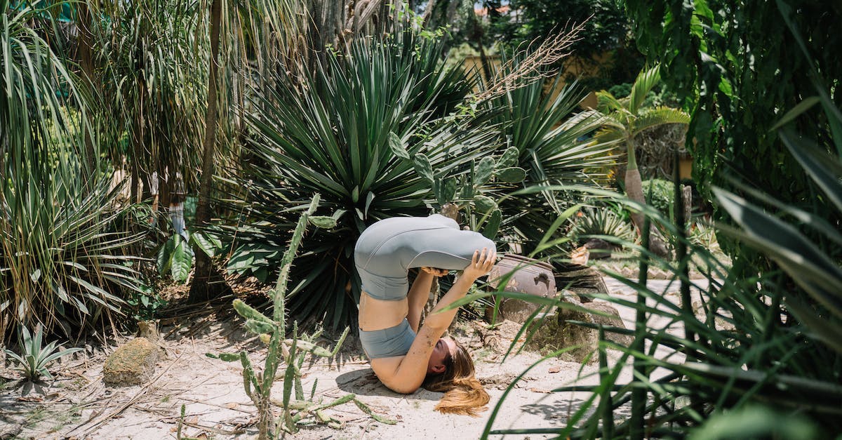 What do FIFA 14 position acronyms mean? - A Woman Practising Yoga in a Garden