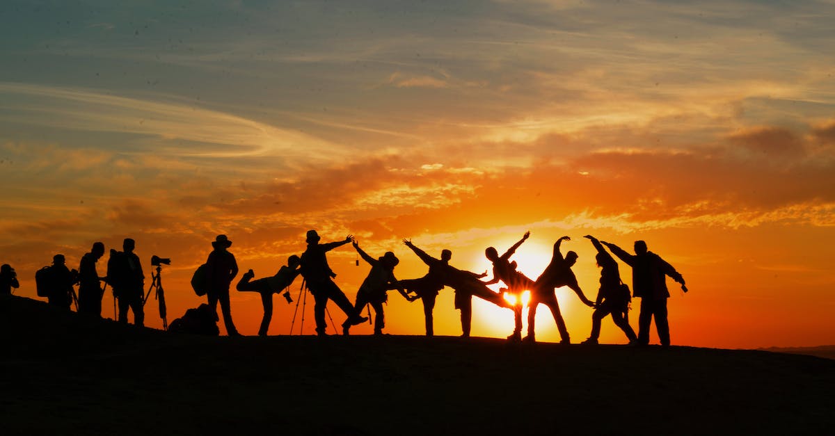 What do FIFA 14 position acronyms mean? - Silhouette of People during Golden Hour