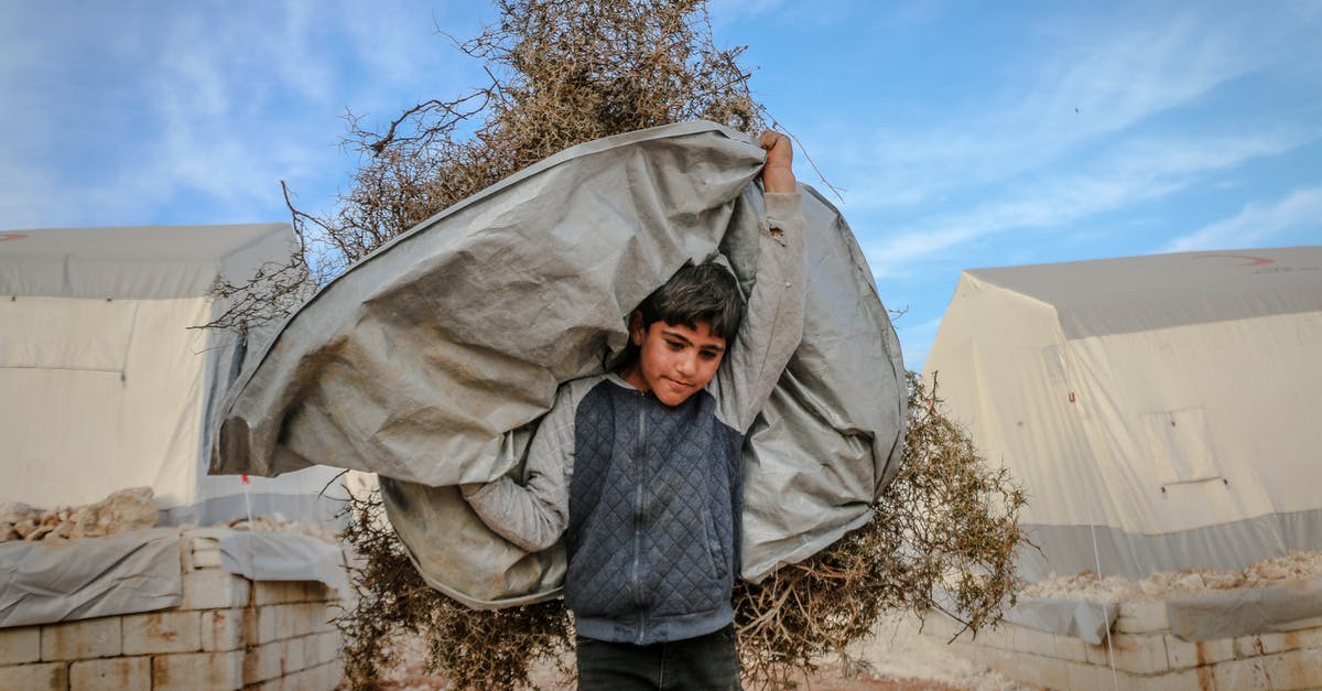 What do I need in order to complete hard difficulty dungeons? - Strong ethnic boy carrying dry plants What do I need in order to complete hard difficulty dungeons? - Strong ethnic boy carrying dry plants