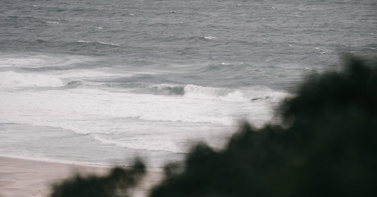 What do ripples on the water indicate? - Water Waves on Ocean Shore What do ripples on the water indicate? - Water Waves on Ocean Shore