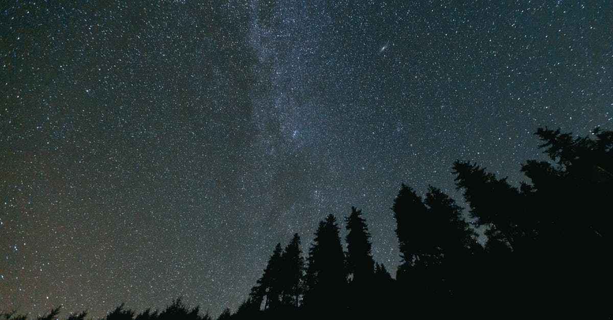 What do stars on weapons mean? - Silhouette of Trees Under Starry Night What do stars on weapons mean? - Silhouette of Trees Under Starry Night