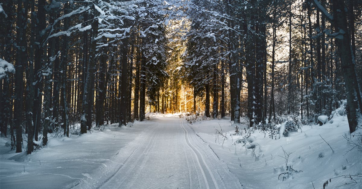 What do the colors in a jump-path indicate? - Landscape Photography of Snow Pathway Between Trees during Winter