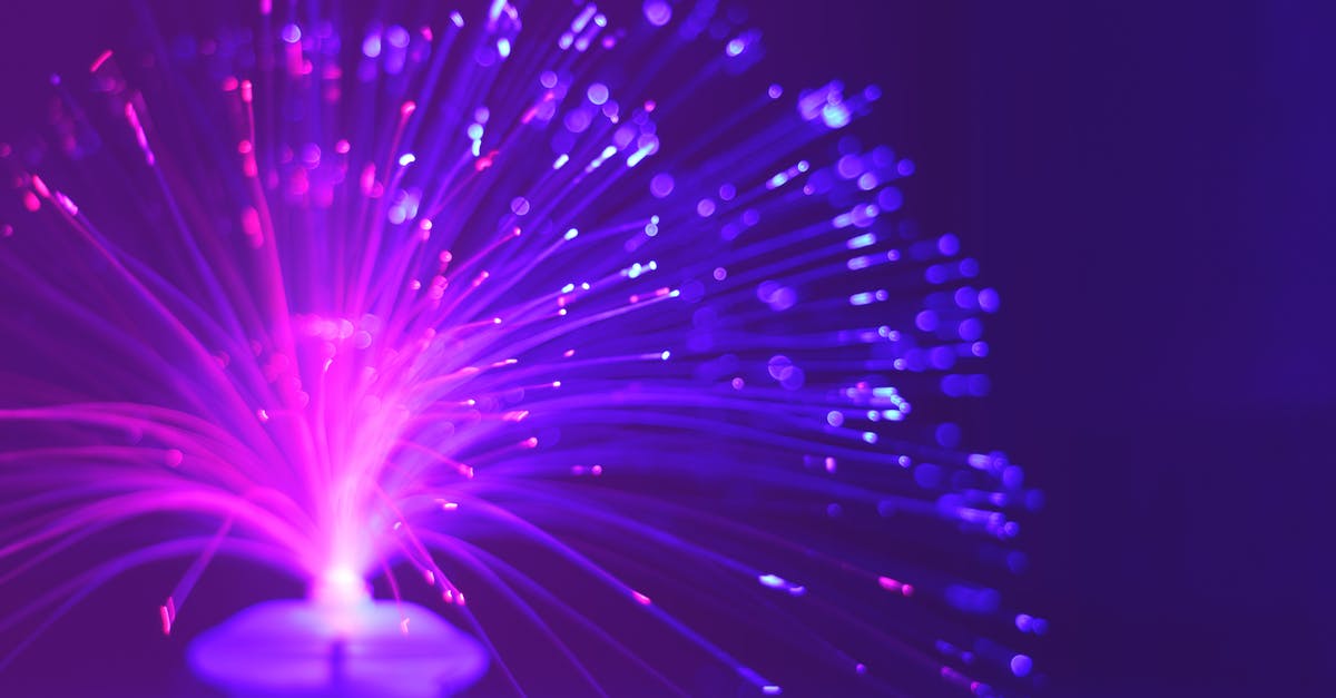 What do the colors of the light shining from the Gacha door mean? - Lighted Purple Fiber Optic Lamp
