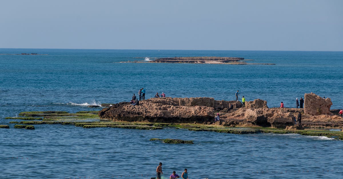 What do the fish do? - 2 Men Sitting on White Kayak on Sea What do the fish do? - 2 Men Sitting on White Kayak on Sea