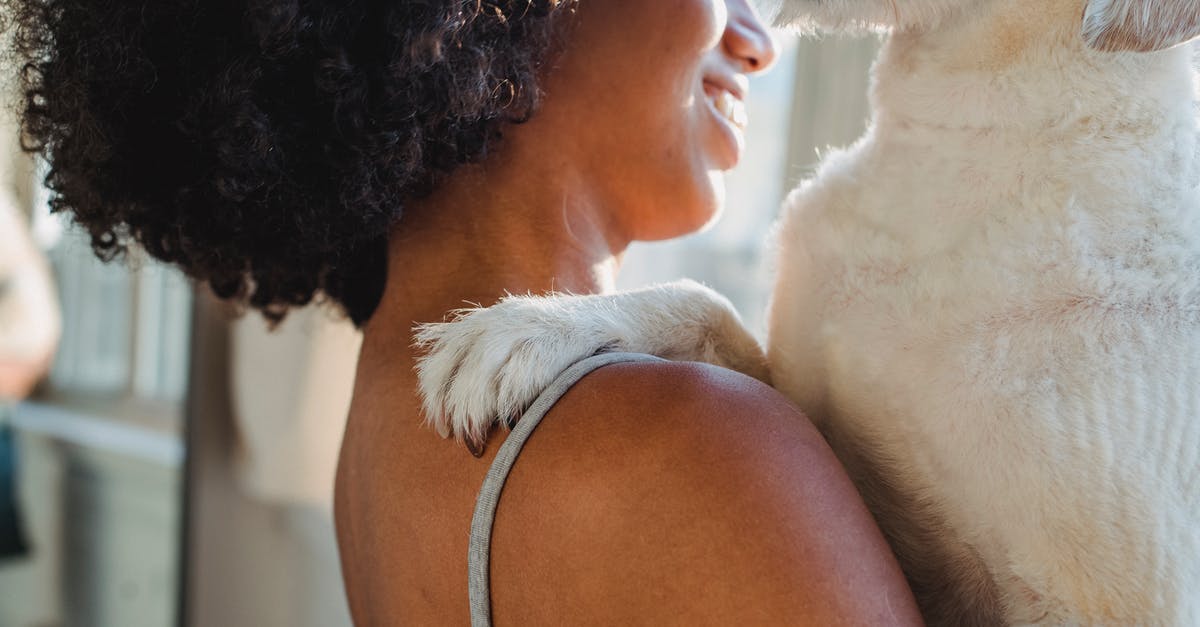 What do the loyalty and happiness boosters do? - Crop black woman holding dog What do the loyalty and happiness boosters do? - Crop black woman holding dog