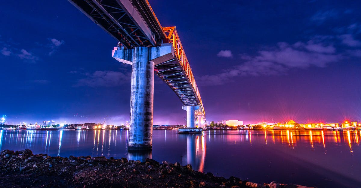 What do the purple gems under my heath bar mean? - Gray and Black Bridge Overlooking City Buildings