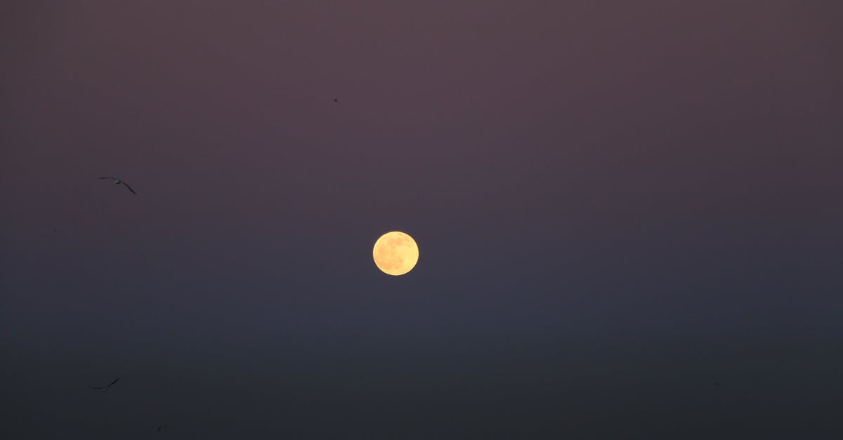 What do the quarter circle and full circle icons mean? - Picturesque view of silhouette of birds flying over cloudless night sky with shining moon What do the quarter circle and full circle icons mean? - Picturesque view of silhouette of birds flying over cloudless night sky with shining moon