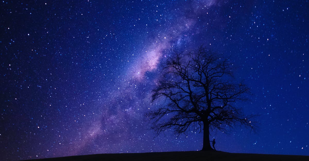What do these stars mean? - Person Beside Bare Tree at Night What do these stars mean? - Person Beside Bare Tree at Night