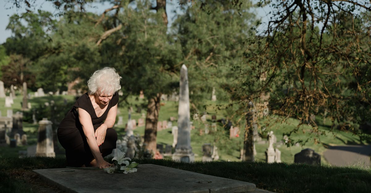 What do you get for Tsanna's sacrificial offering in Chapter 7? - Man in Black T-shirt Sitting on Brown Wooden Bench What do you get for Tsanna's sacrificial offering in Chapter 7? - Man in Black T-shirt Sitting on Brown Wooden Bench