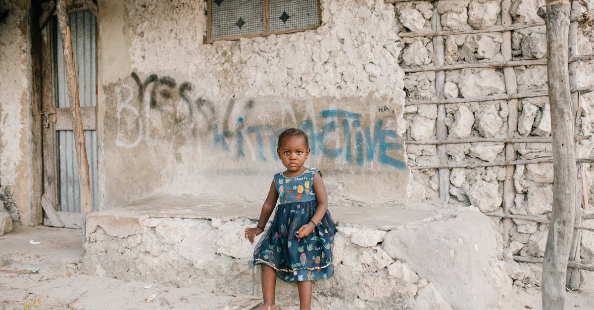 What do you need to build to house animals and monsters? - Little black girl sitting on rough stone border in ghetto