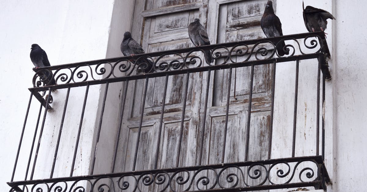 What do you need to build to house animals and monsters? - Five Pigeons on Metal Bar
