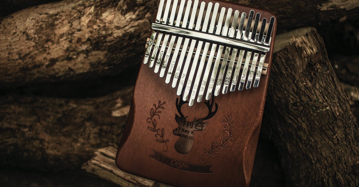 What does a Void Resonator do? - Wooden mbira with metal parts and decorative pattern placed on fallen trunks of trees What does a Void Resonator do? - Wooden mbira with metal parts and decorative pattern placed on fallen trunks of trees