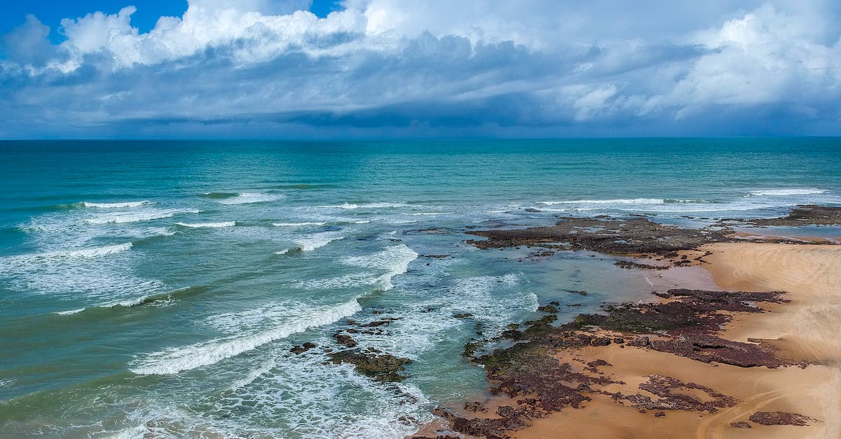 What does Gaun's Pledge do? - Sea Waves Crashing On Shore 