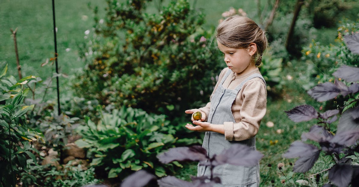 What does it mean to play for picks? - Sunny child standing in garden amidst lush shrubs