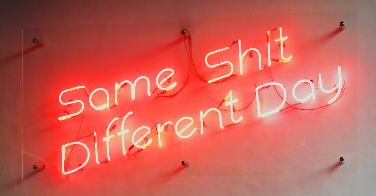 What does "Each night increases the danger" mean? - Same Shit Different Day Neon Sign