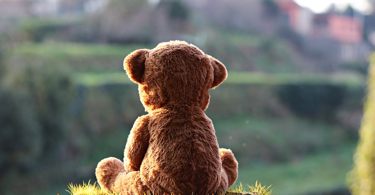 What does the 'Special Feature' teddy bear sticker mean on some games for Sears/Atari 2600? - Soft plush teddy bear placed on grassy log in green park on sunny day