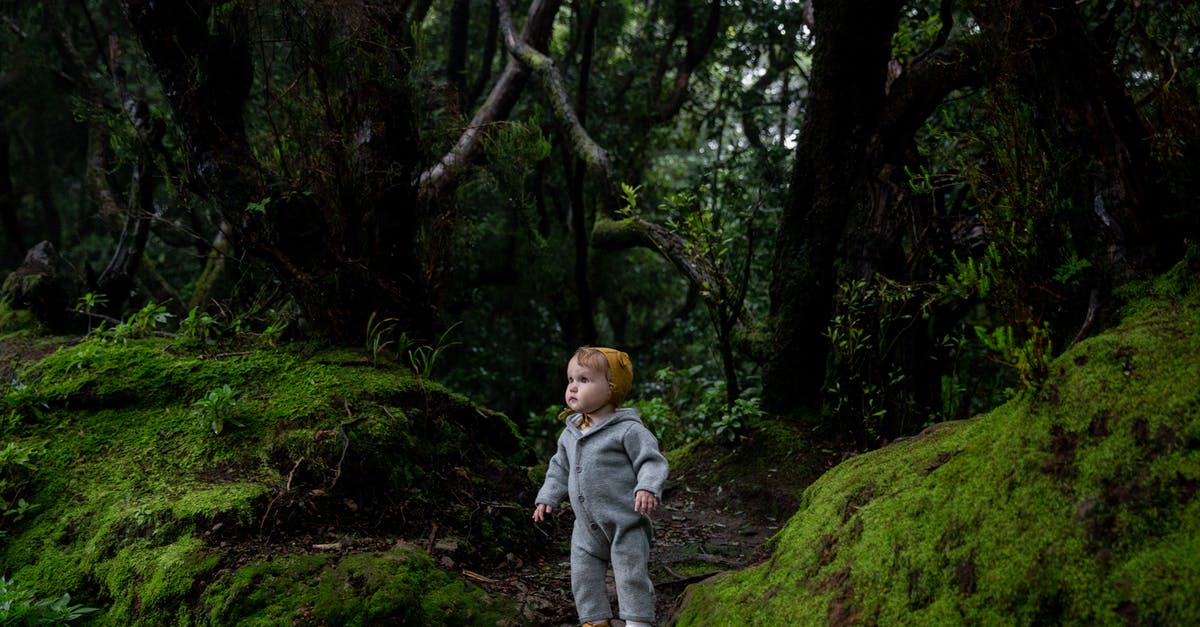 What does the full research tree look like for XCOM 2? - Serious child standing on footpath in dark forest