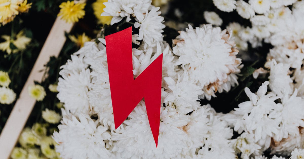 What does the lightning symbol mean? - Red Lightning Symbol Against White Flowers