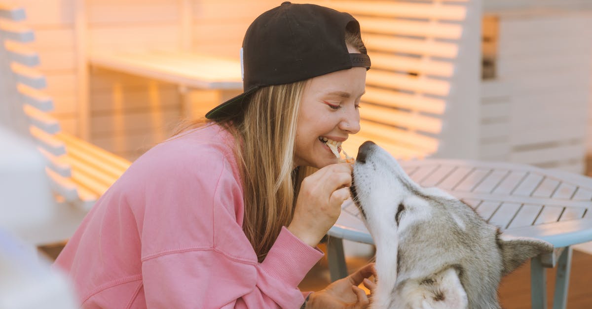 What does the Pip pet do? - Free stock photo of affection, child, cute