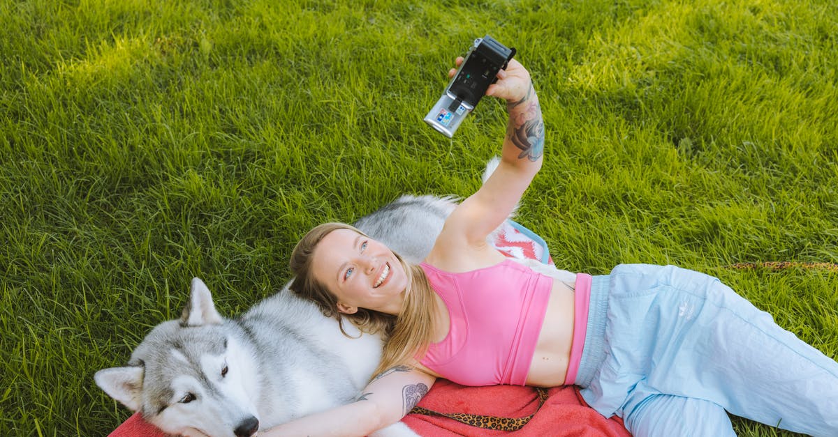 What does the Pip pet do? - Free stock photo of beautiful, child, cute