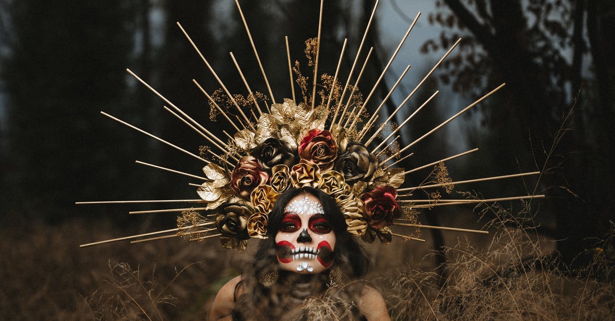 What does the red skull icon on adventurer portrait mean? - Portrait of Woman in Headdress and Face Painted for Day of the Dead