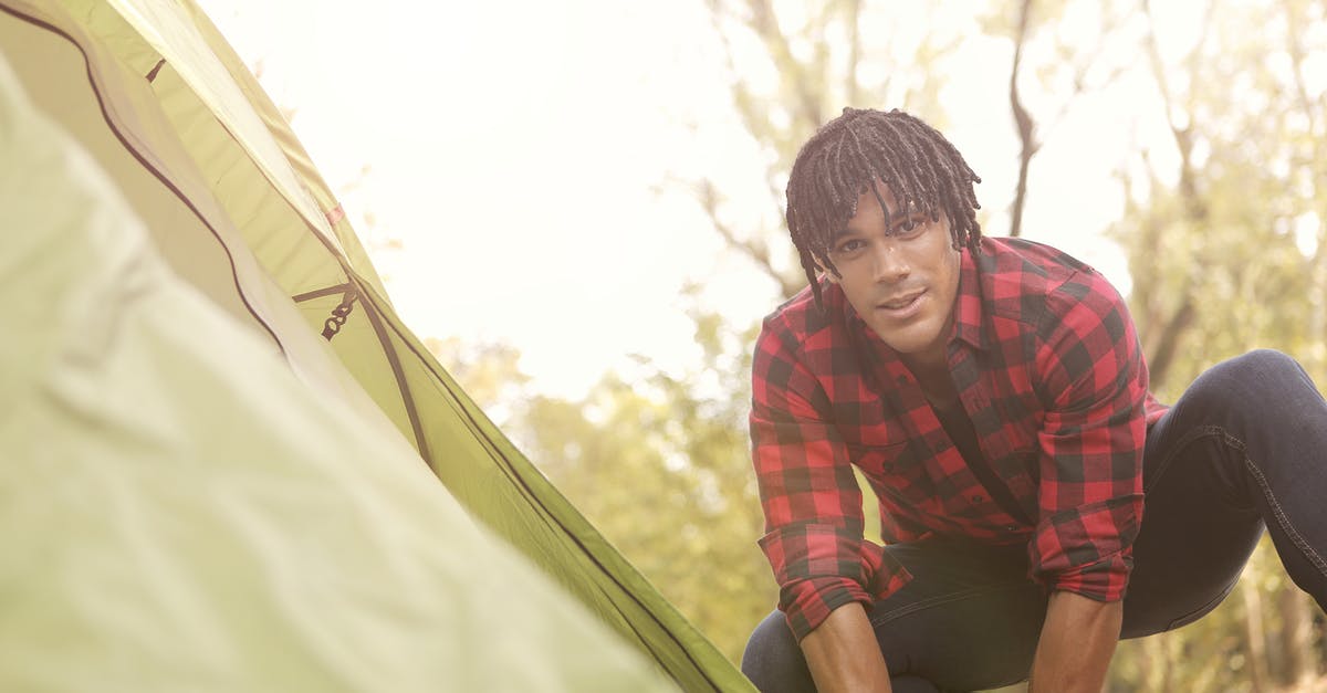 What does the red skull icon on adventurer portrait mean? - Man in Red and Black Plaid Long Sleeve Fixing Tent