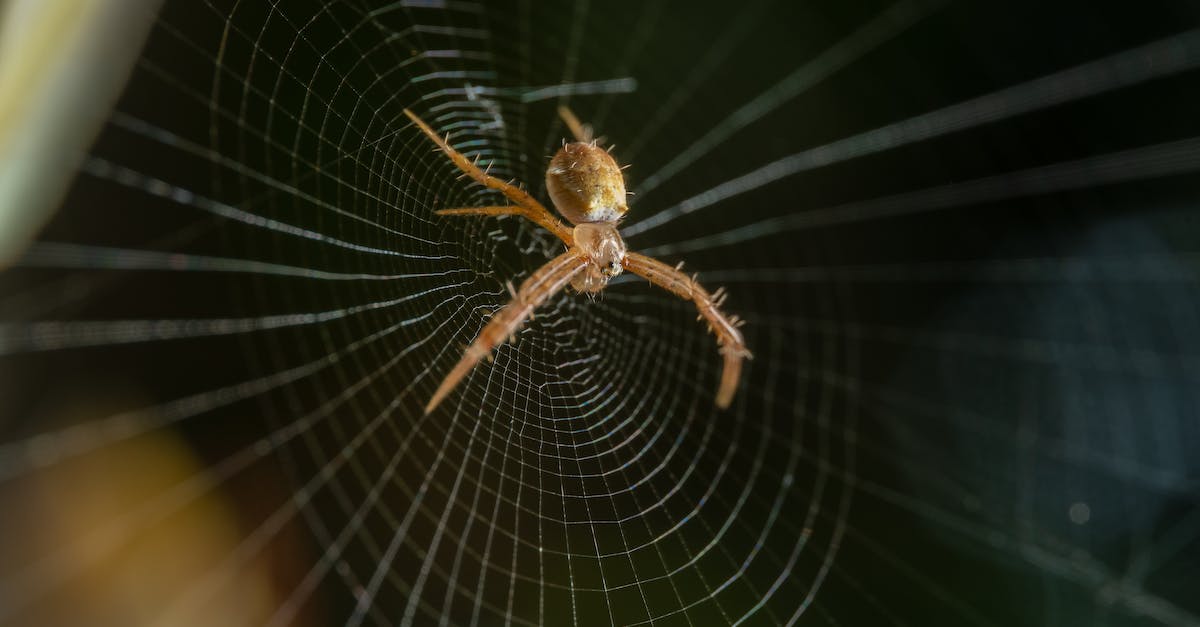 What does the Spider Mod add? - What does the Spider Mod add? -