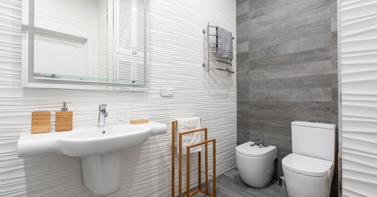 What does the T stand for in Tap Titans? - Contemporary bathroom interior with washbasin and toilet bowl