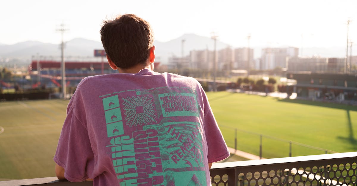 What does the Time Goddess look into when she wants to look into "memory of that time"? - Back view of anonymous young male in colorful t shirt standing leaning on metal fence on stadium and looking at play filed