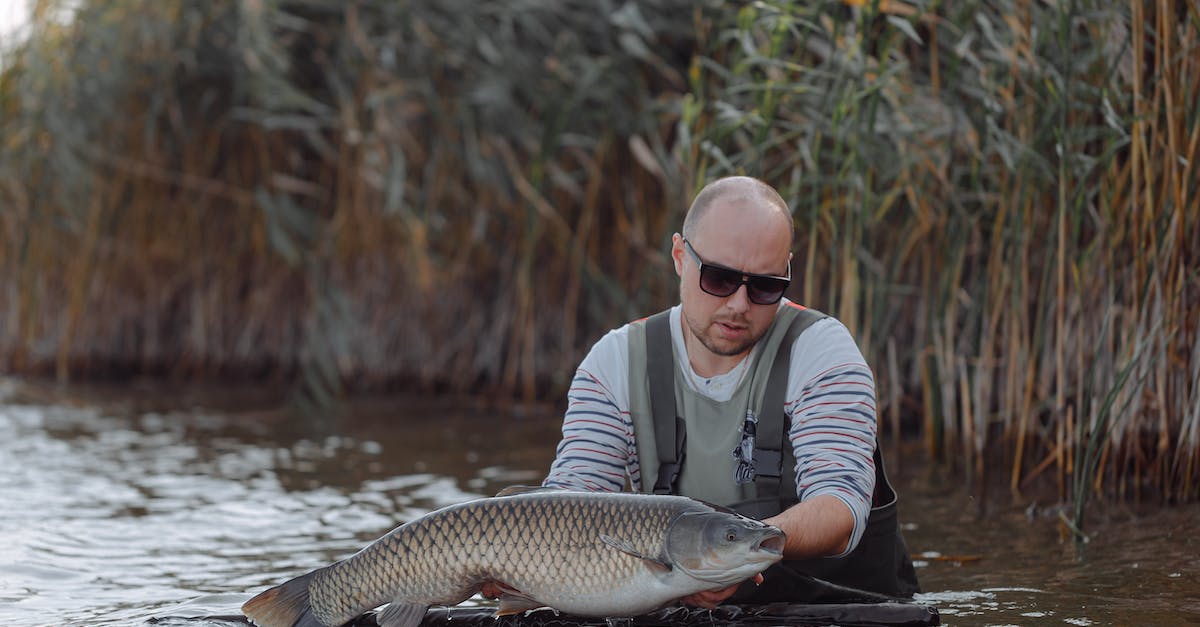 What does WoW's fishing depends on and how to catch Felblight? - A Man Holding a Fish