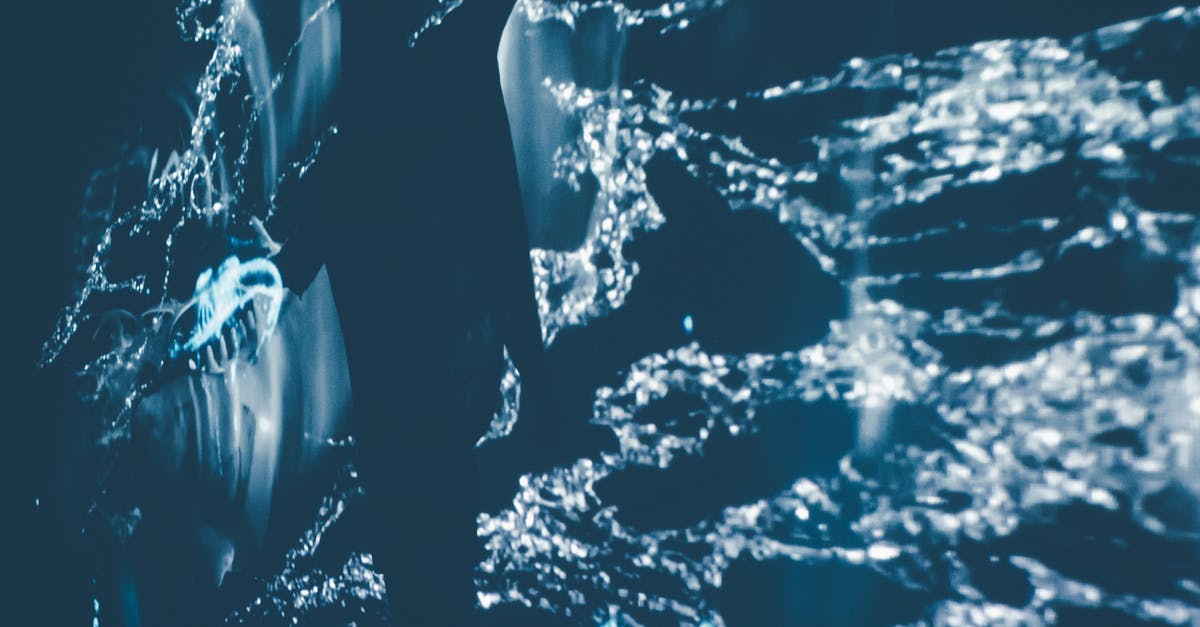 What enemies drop Sparkle Cards? - Splashing clean water with silhouette of person