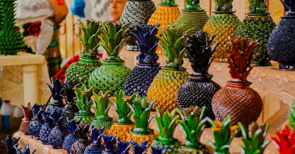 What Exactly Does the Lagometer Display? - Piña What Exactly Does the Lagometer Display? - Piña