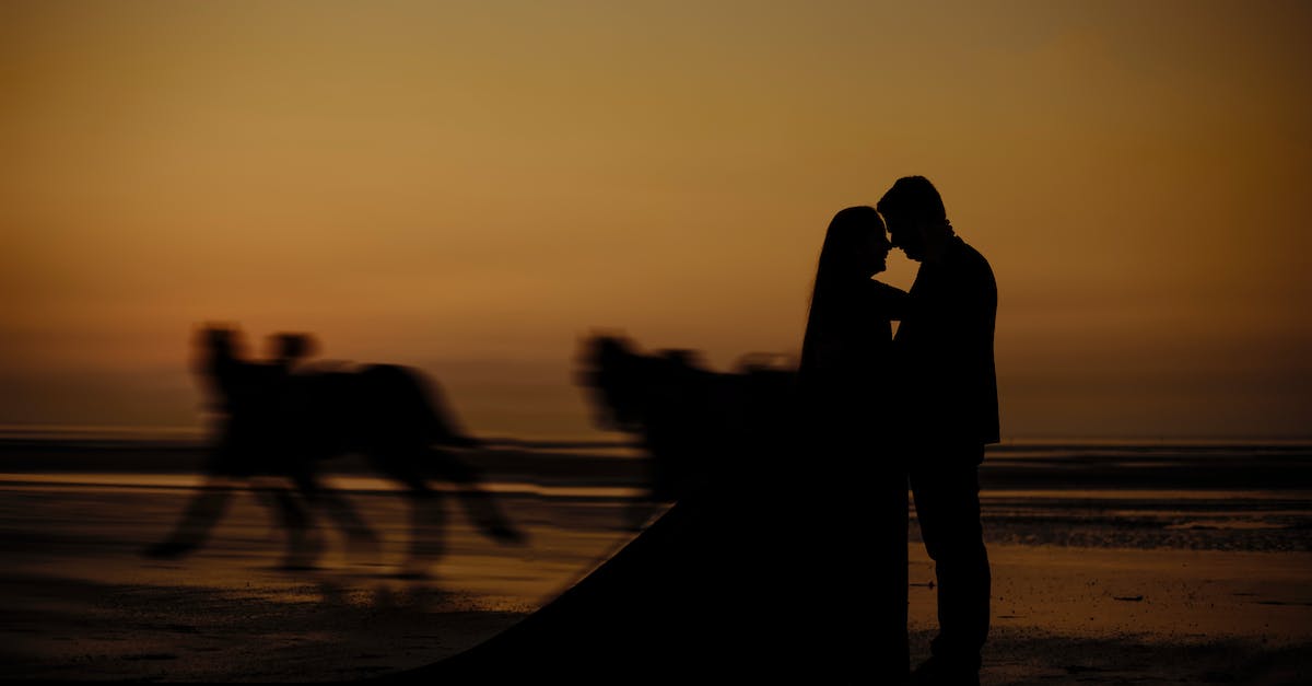 What exactly is Borderlands the Pre-Sequel - Silhouette of Couple Standing on Beach during Sunset What exactly is Borderlands the Pre-Sequel - Silhouette of Couple Standing on Beach during Sunset