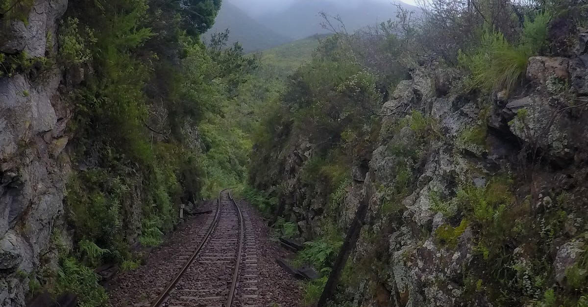 What factors contribute to a country joining a side in a religious league? - Train Track on Rocky Mountainside What factors contribute to a country joining a side in a religious league? - Train Track on Rocky Mountainside